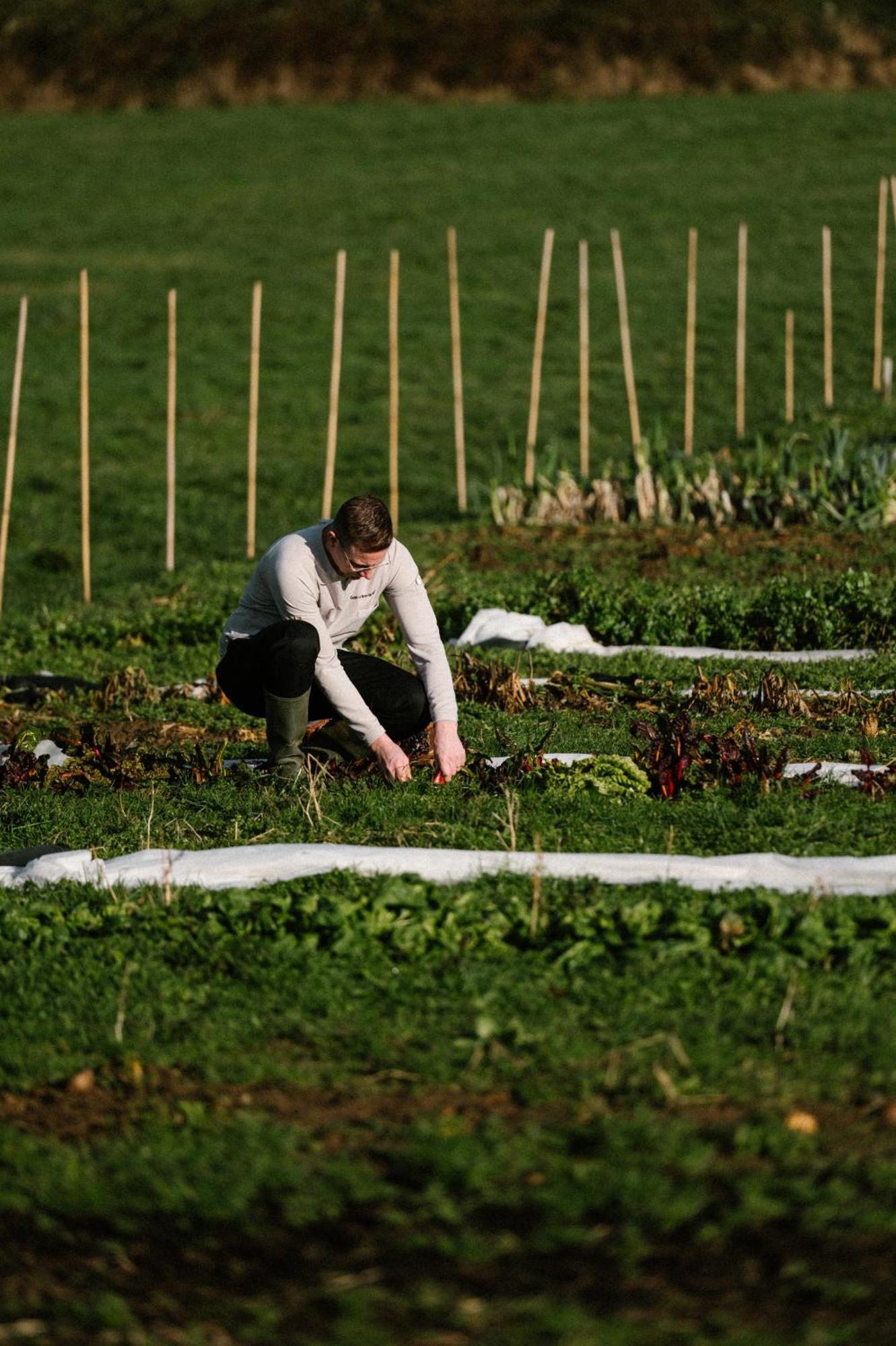 Chateau St Gerlach - Oostwegel Collection, Member Of Relais And Chateaux Valkenburg aan de Geul Luaran gambar A farmer working in a field